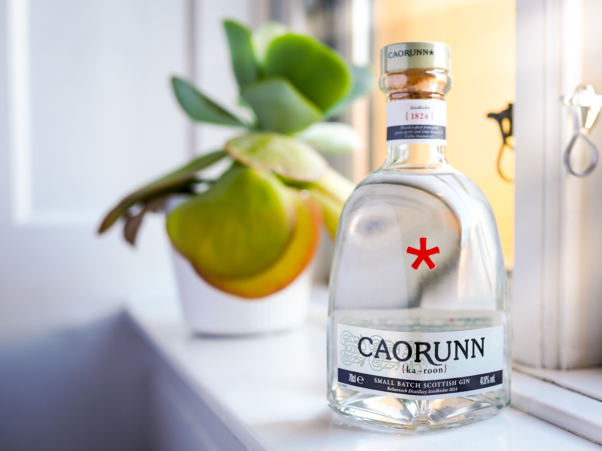 Caorunn Gin. Photo by Michael Sperling.
