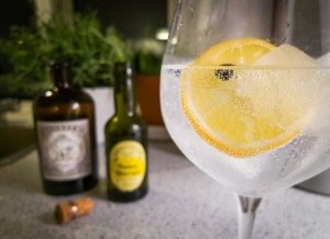 Monkey 47 Gin and Tonic