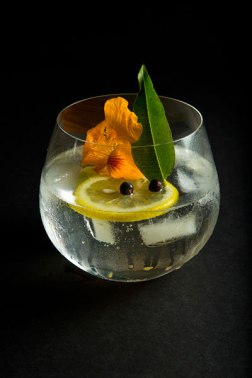 Den spansk gin-tonic