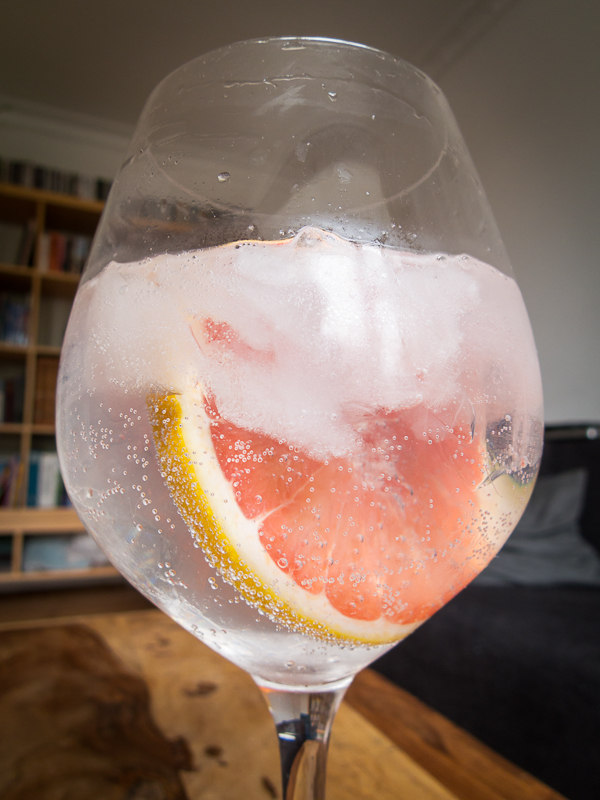 Gin and Tonic med grapefrugt