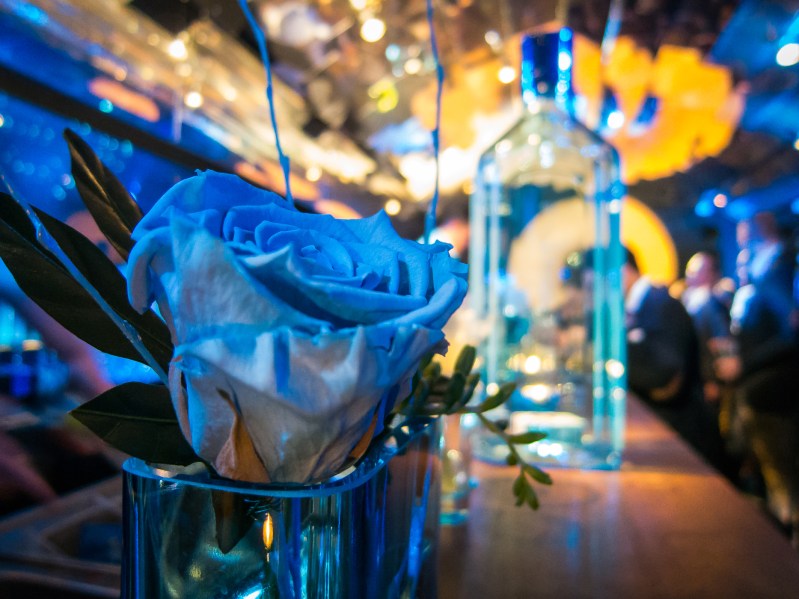 Bombay Flower. Photo: Michael Sperling.