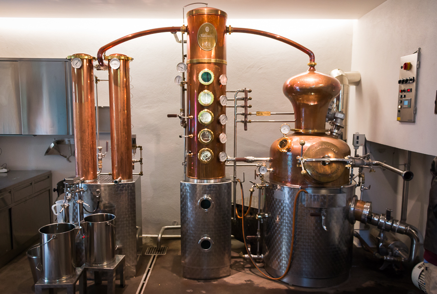 Monkey Still. Photo by Michael Sperling.