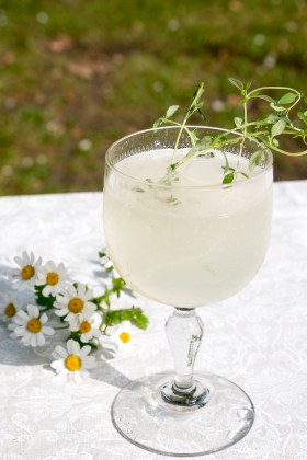 Gin Sparkler. Photo by Michael Sperling.