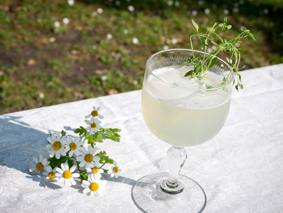 Gin Sparkler. Photo by Michael Sperling.
