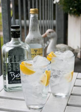 Boë Superior G&T. Photo by Michael Sperling.