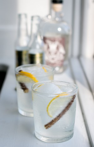 Double You Gin. Photo by Michael Sperling.
