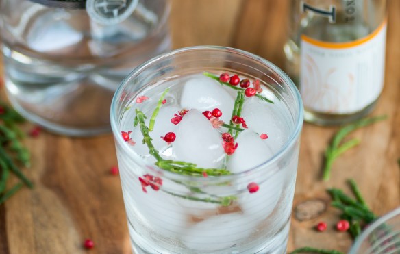 Gin & Tonic med Langley's No. 8 Gin og 1724 Tonic Water. Photo by Michael Sperling.