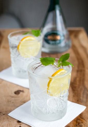 Hven Gin. Gin and Tonic. Photo by Michael Sperling.
