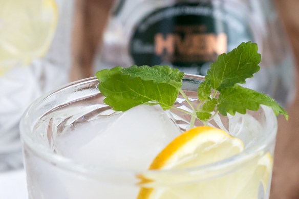 Hven Gin. Gin and Tonic. Photo by Michael Sperling.