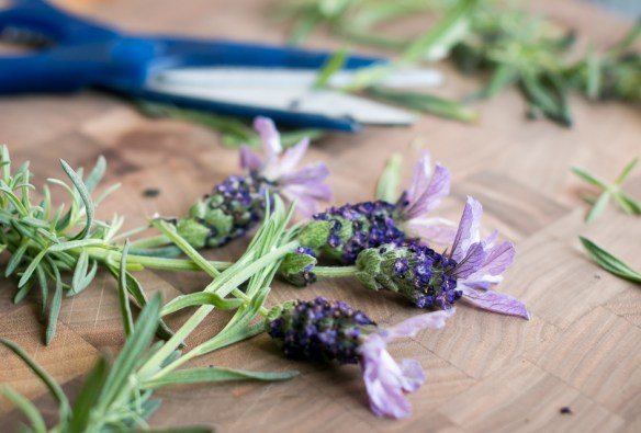Gin and Tonic med Ferdinand’s Saar Dry Gin og Gents Swiss Roots Tonic Water. Photo by Michael Sperling.