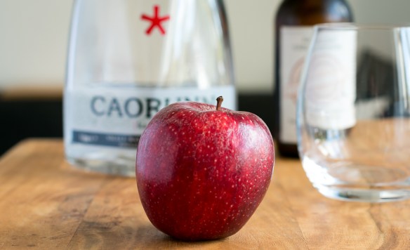 Gin and Tonic med Caorunn Scottish Gin, Colonial Tonic, apple og lyngblomst. Photo by Michael Sperling.