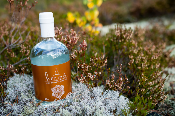 Hernö High Coast Terroir Gin. Photo by Michael Sperling.