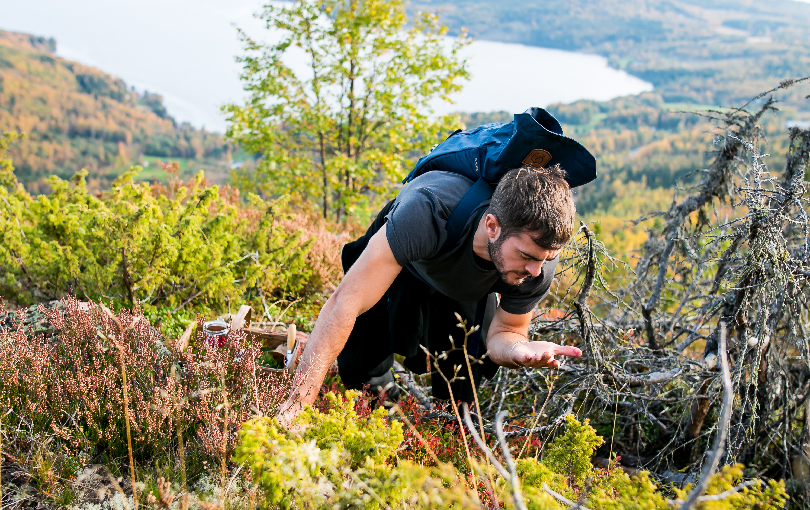 Hernö Gin Cocktail Awards 2016