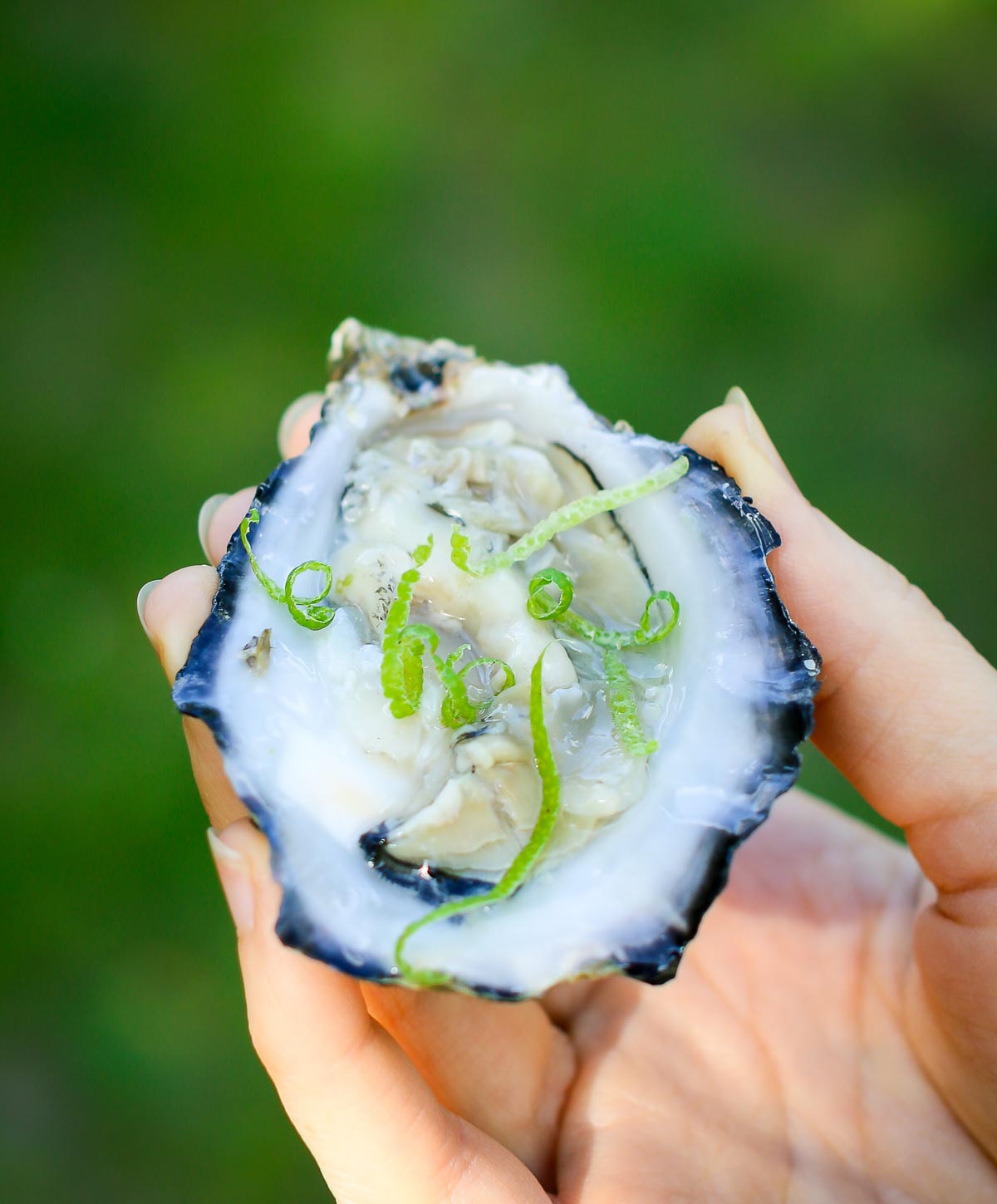 Tarquin's Gin og østers. Photo by Michael Sperling.