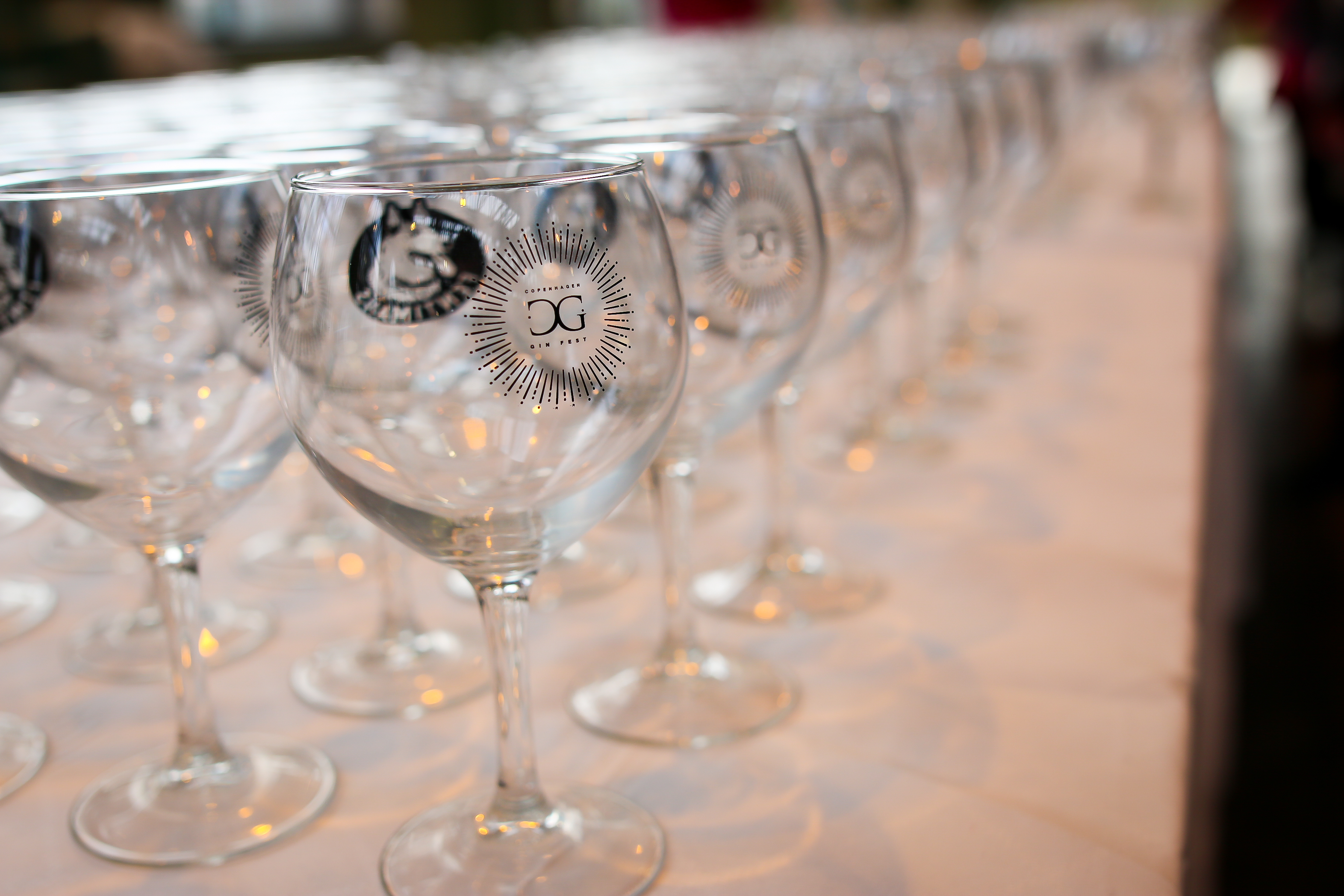 Copenhagen Gin Festival 2018. Photo by Michael Sperling.