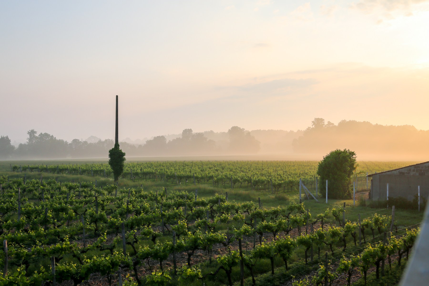 Cognac, Frankrig. Photo by Michael Sperling.
