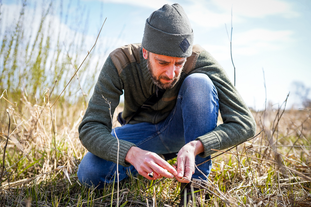 Lars Toke Graugaard leder efter mjødurt mellem sivene. Photo by Michael Sperling.