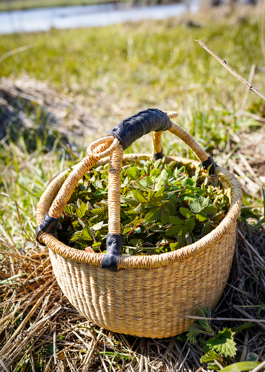 Dagens høst af mjødurt. Photo by Michael Sperling.