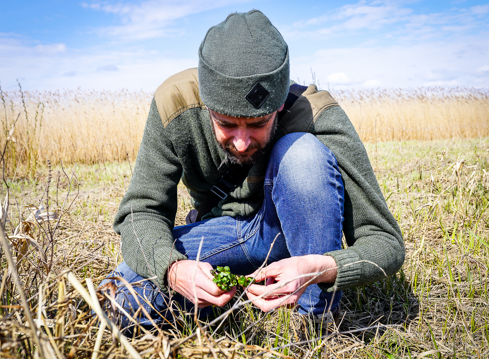 Lars Toke Graugaard samler vandmynte ved Brabrand Sø. Photo by Michael Sperling.