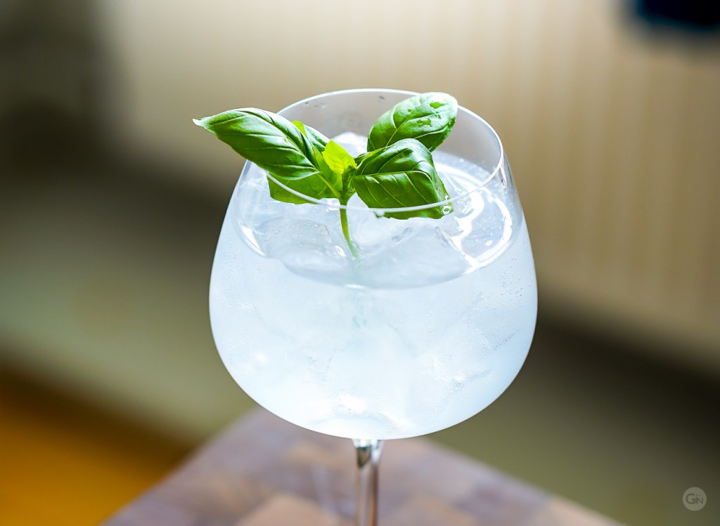 Forest Winter and Tonic. Photo by Michael Sperling