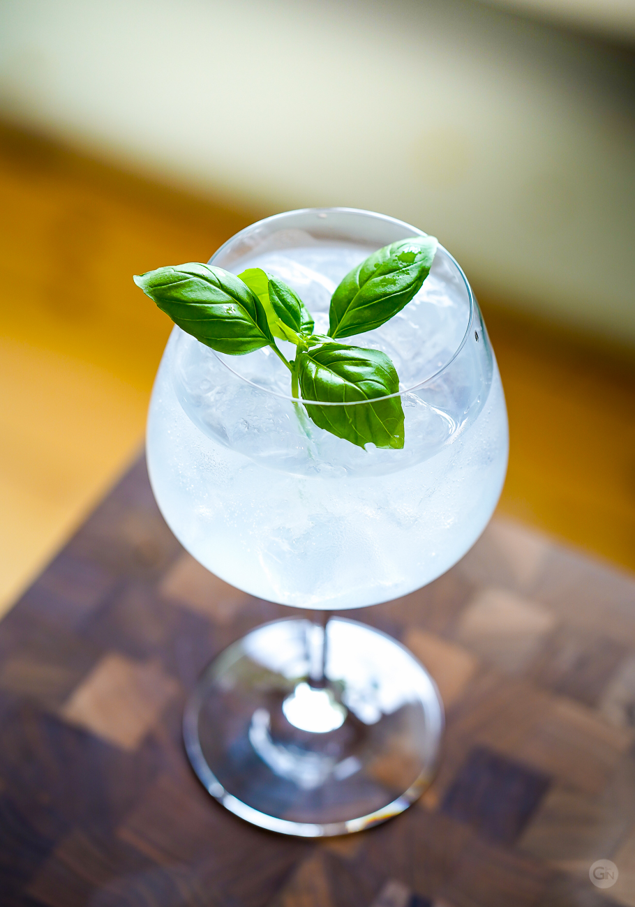 Forest Winter and Tonic