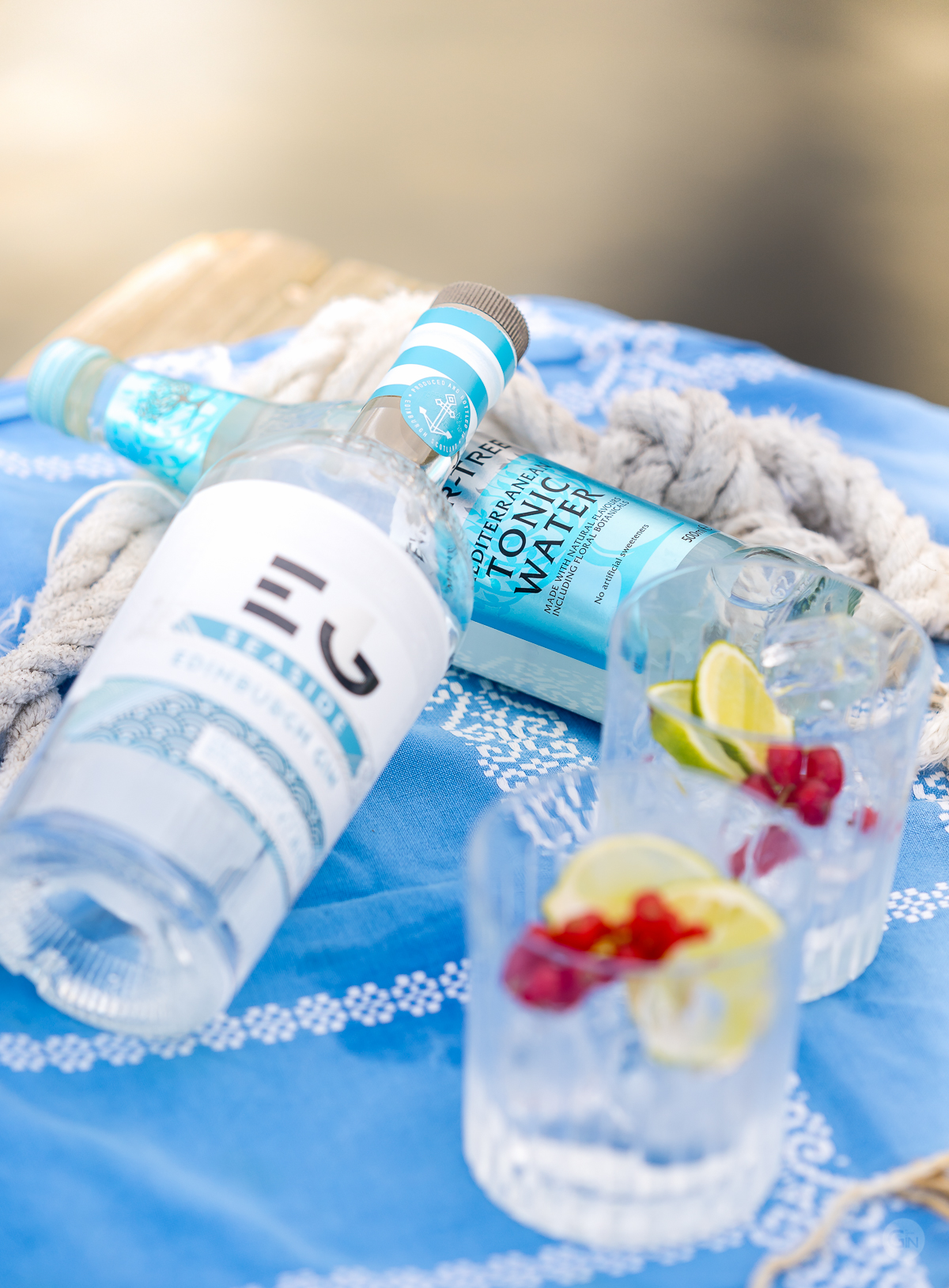 Edinburgh Seaside Gin and Tonic. Photo by Michael Sperling.