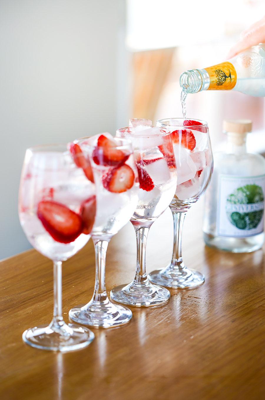 giniversity-botanical-gin-7