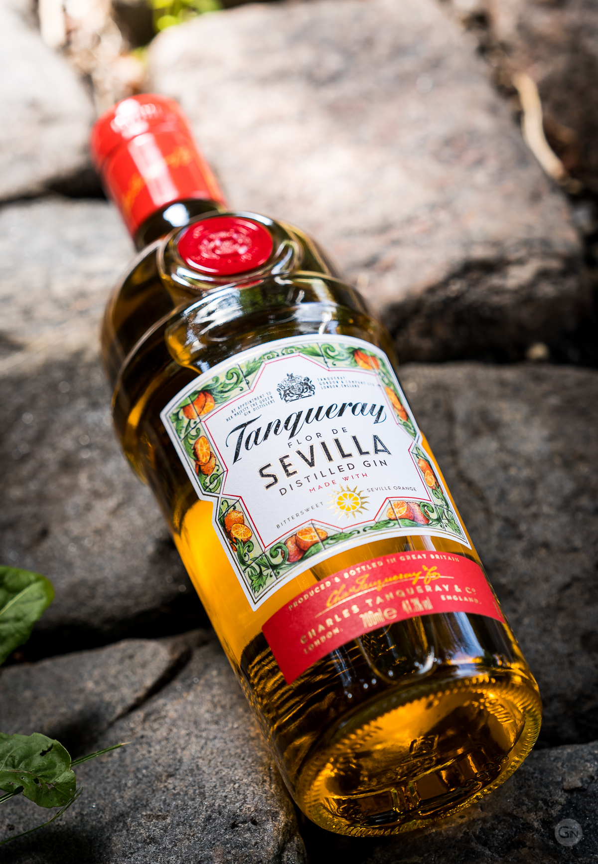 Tanqueray Flor de Sevilla Gin. Photo by Michael Sperling.